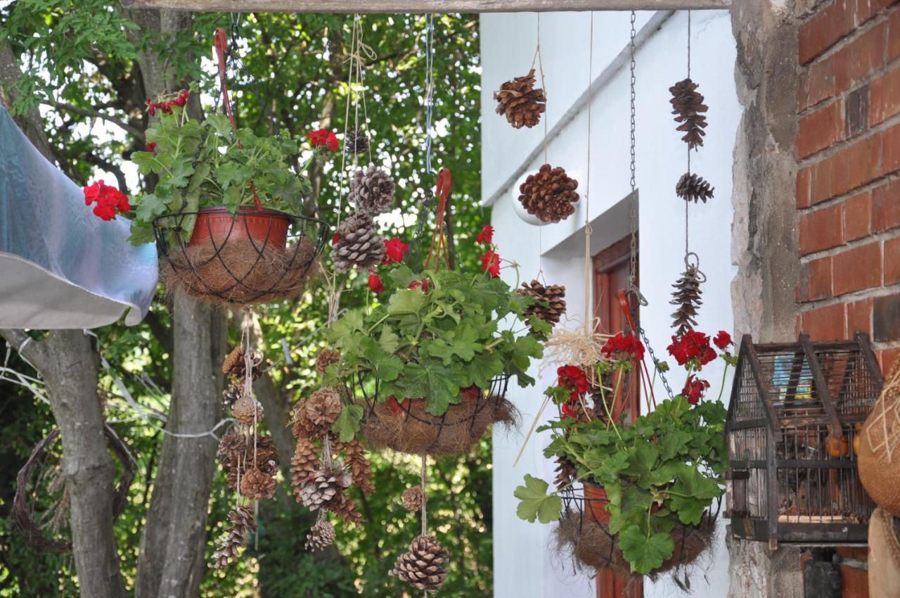 Vila Lena Meduvrsje المظهر الخارجي الصورة